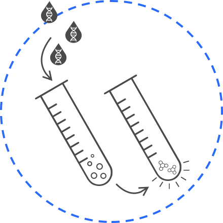 How BioBits works